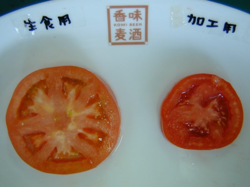 加工用トマトと生食用トマト | トマトの教室 | トマトおじさんの笑顔